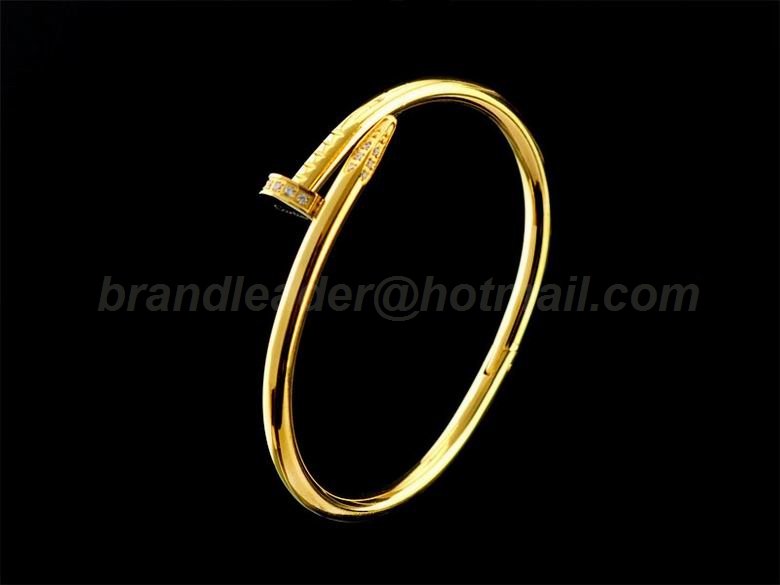 Cartier Bangles 63